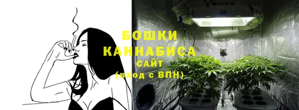 PSILOCYBIN Беломорск