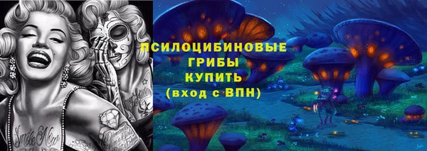 PSILOCYBIN Беломорск