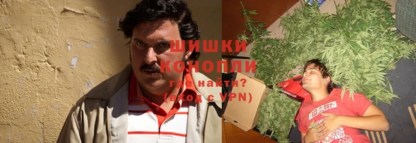 PSILOCYBIN Беломорск