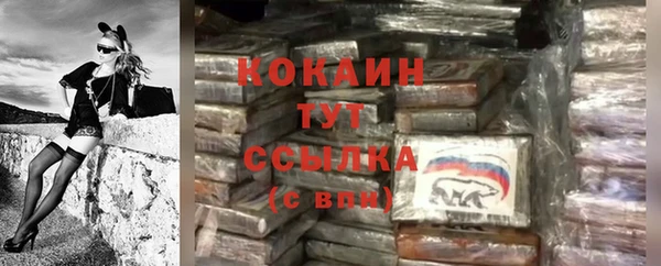PSILOCYBIN Беломорск